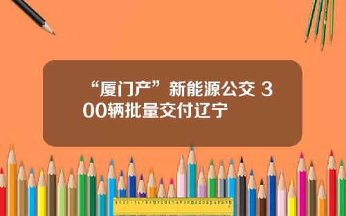 “厦门产”新能源公交 300辆批量交付辽宁