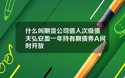 什么叫期货公司借入次级债天弘安盈一年持有期债券A何时开放
