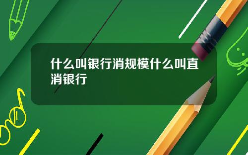 什么叫银行消规模什么叫直消银行