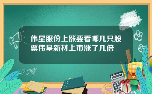 伟星服份上涨要看哪几只股票伟星新材上市涨了几倍