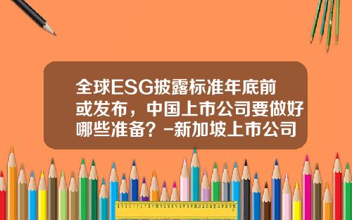 全球ESG披露标准年底前或发布，中国上市公司要做好哪些准备？-新加坡上市公司08年年报