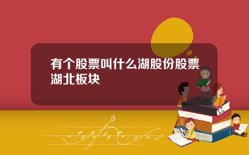 有个股票叫什么湖股份股票湖北板块