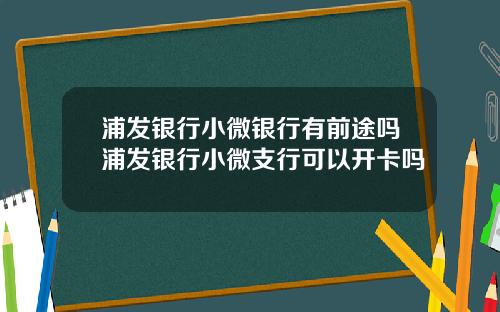 浦发银行小微银行有前途吗浦发银行小微支行可以开卡吗