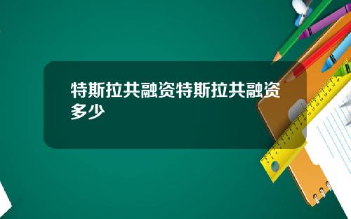 特斯拉共融资特斯拉共融资多少