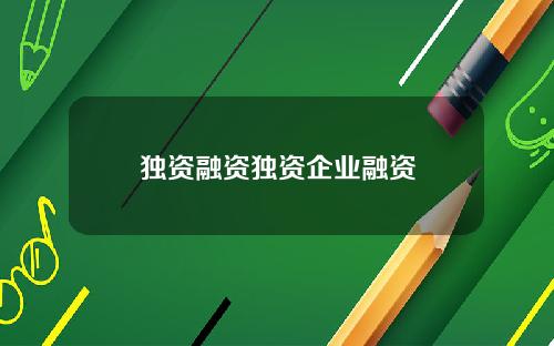 独资融资独资企业融资