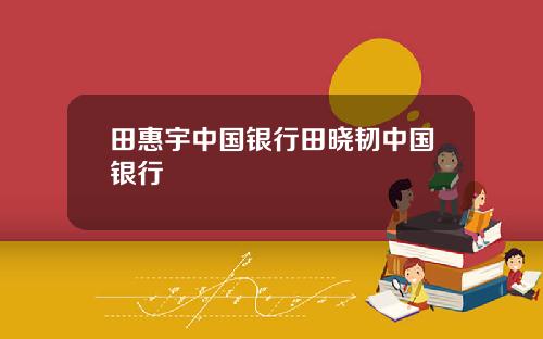 田惠宇中国银行田晓韧中国银行