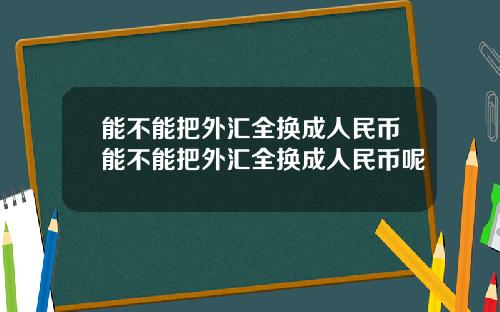 能不能把外汇全换成人民币能不能把外汇全换成人民币呢