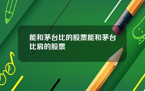 能和茅台比的股票能和茅台比肩的股票