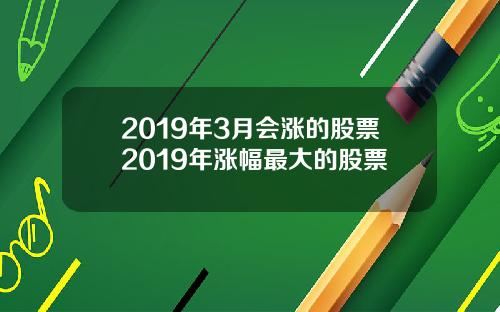 2019年3月会涨的股票2019年涨幅最大的股票