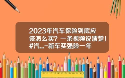2023年汽车保险到底应该怎么买？一条视频说清楚！#汽...-新车买强险一年多少钱