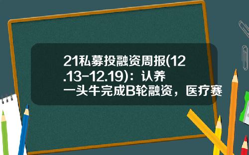 21私募投融资周报(12.13-12.19)：认养一头牛完成B轮融资，医疗赛道融资火热-上海星锐科技有限公司目前需要融资多少