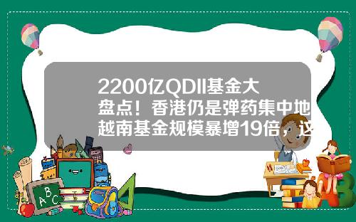 2200亿QDII基金大盘点！香港仍是弹药集中地，越南基金规模暴增19倍，这个国家只投了15万-qdii型基金