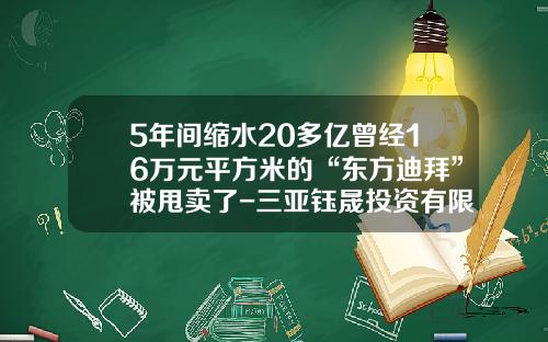 5年间缩水20多亿曾经16万元平方米的“东方迪拜”被甩卖了-三亚钰晟投资有限公司