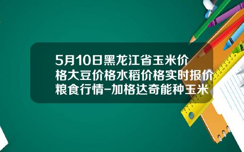 5月10日黑龙江省玉米价格大豆价格水稻价格实时报价粮食行情-加格达奇能种玉米么收多少斤