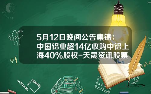 5月12日晚间公告集锦：中国铝业超14亿收购中铝上海40%股权-天晟资讯股票期权