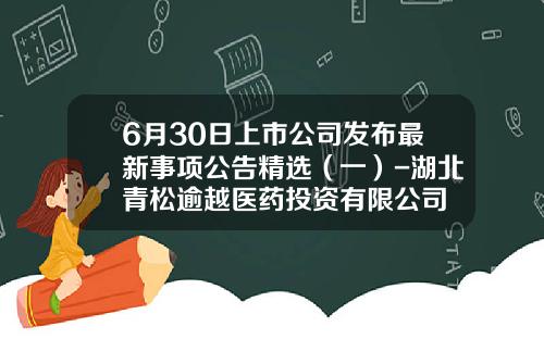 6月30日上市公司发布最新事项公告精选（一）-湖北青松逾越医药投资有限公司