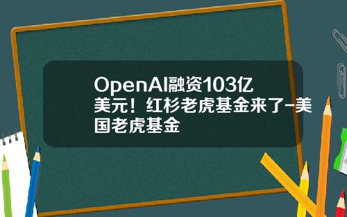 OpenAI融资103亿美元！红杉老虎基金来了-美国老虎基金