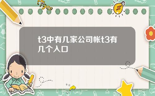 t3中有几家公司帐t3有几个入口