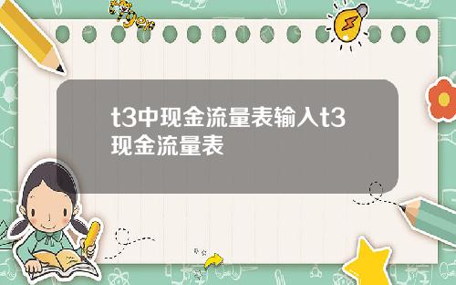 t3中现金流量表输入t3现金流量表
