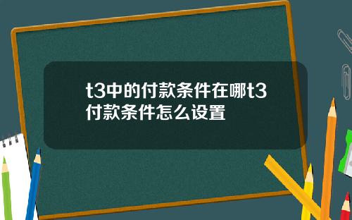 t3中的付款条件在哪t3付款条件怎么设置