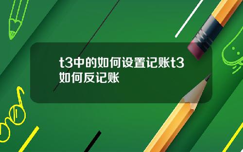 t3中的如何设置记账t3如何反记账