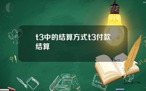t3中的结算方式t3付款结算