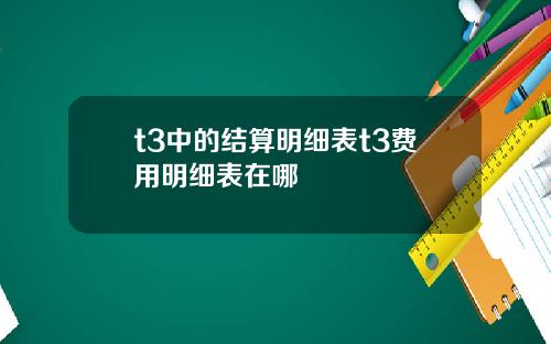 t3中的结算明细表t3费用明细表在哪