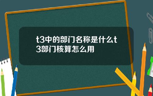 t3中的部门名称是什么t3部门核算怎么用