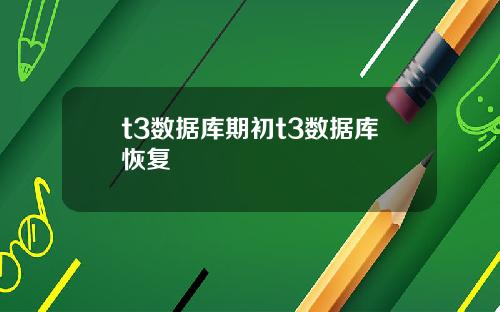t3数据库期初t3数据库恢复