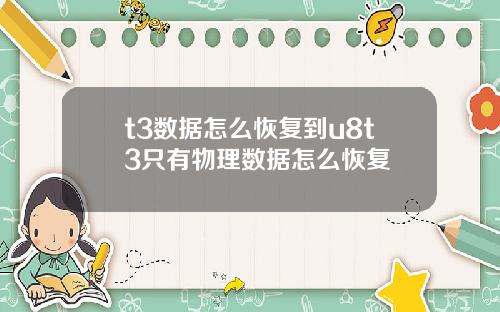 t3数据怎么恢复到u8t3只有物理数据怎么恢复