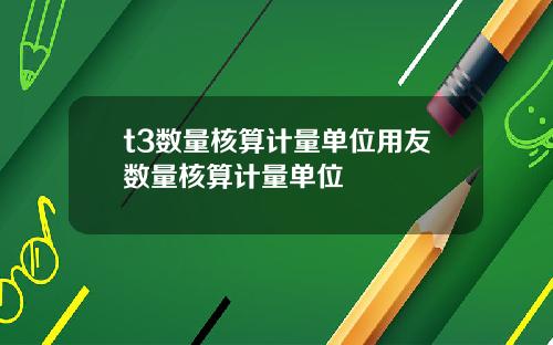 t3数量核算计量单位用友数量核算计量单位