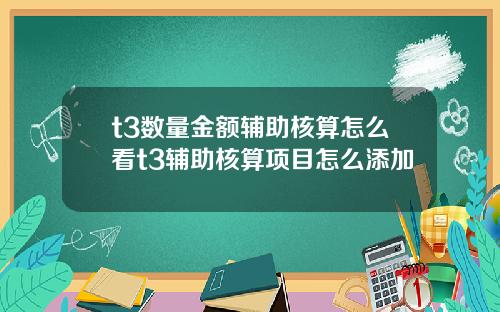 t3数量金额辅助核算怎么看t3辅助核算项目怎么添加