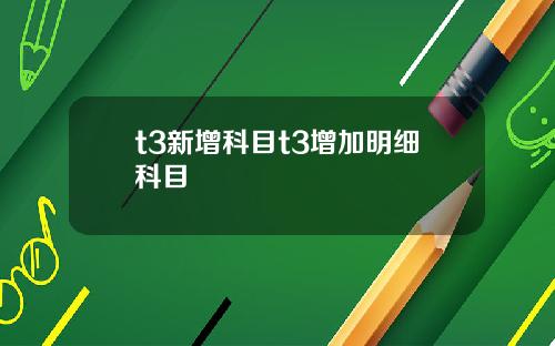 t3新增科目t3增加明细科目