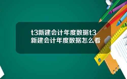 t3新建会计年度数据t3新建会计年度数据怎么看