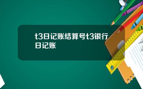 t3日记账结算号t3银行日记账