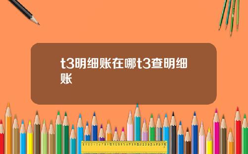 t3明细账在哪t3查明细账