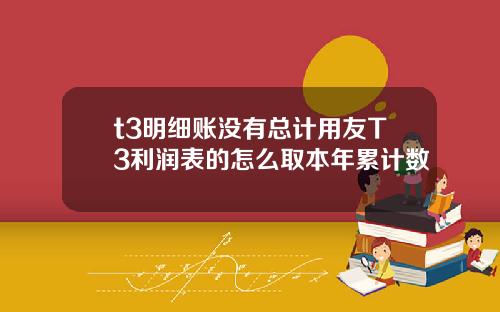 t3明细账没有总计用友T3利润表的怎么取本年累计数