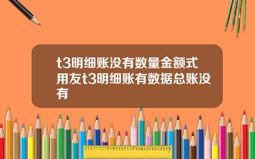t3明细账没有数量金额式用友t3明细账有数据总账没有