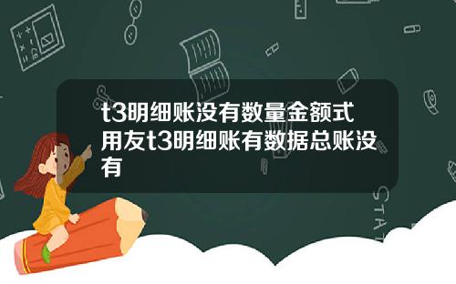 t3明细账没有数量金额式用友t3明细账有数据总账没有