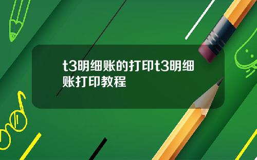 t3明细账的打印t3明细账打印教程
