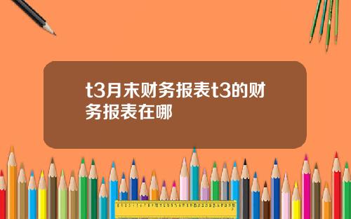 t3月末财务报表t3的财务报表在哪