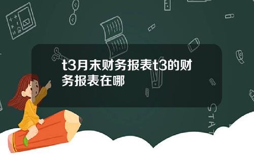 t3月末财务报表t3的财务报表在哪