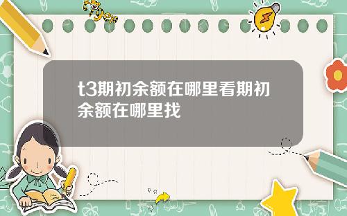 t3期初余额在哪里看期初余额在哪里找
