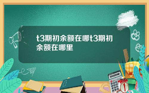 t3期初余额在哪t3期初余额在哪里
