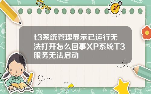 t3系统管理显示已运行无法打开怎么回事XP系统T3服务无法启动