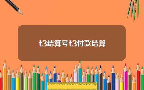 t3结算号t3付款结算