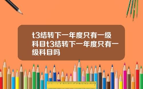 t3结转下一年度只有一级科目t3结转下一年度只有一级科目吗