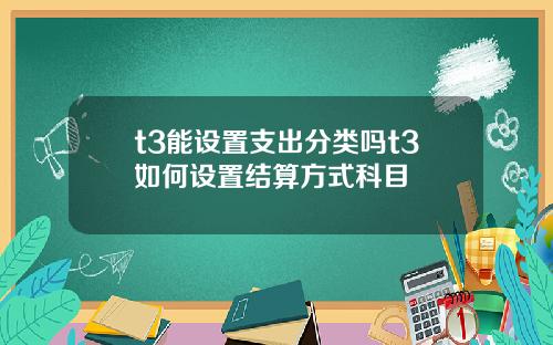 t3能设置支出分类吗t3如何设置结算方式科目