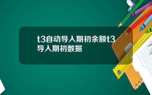 t3自动导入期初余额t3导入期初数据
