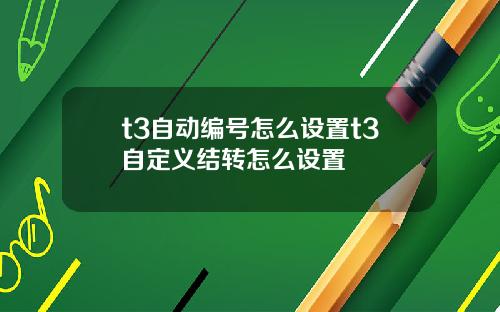 t3自动编号怎么设置t3自定义结转怎么设置